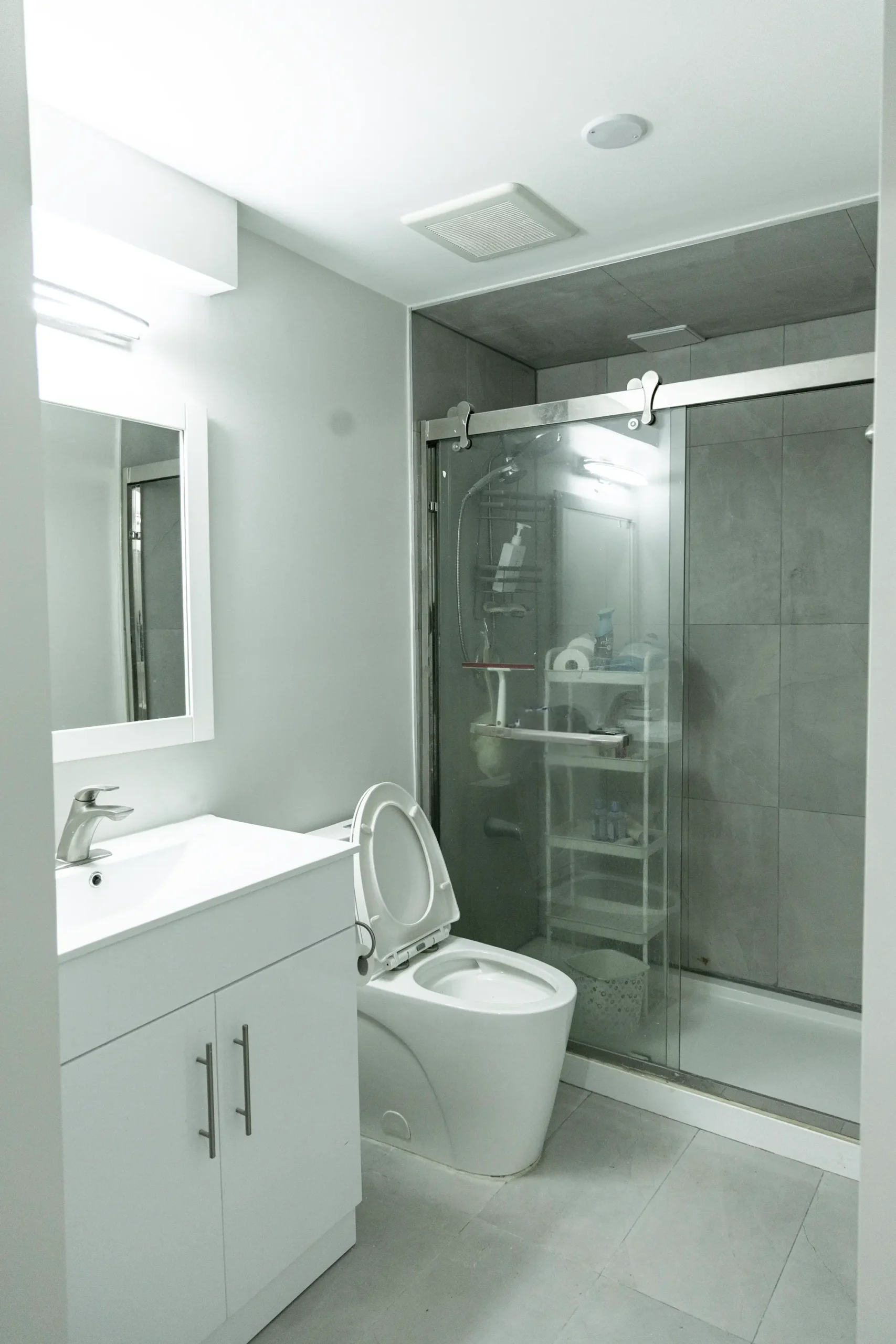 basement conversion to bathroom